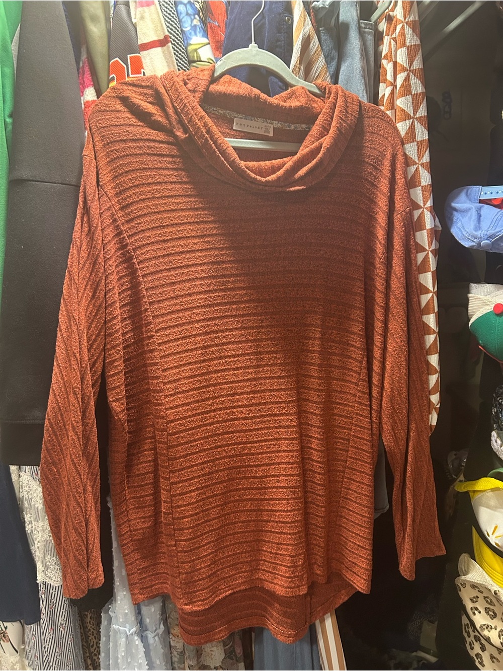 Cozy Cowl Neck Sweater - Rust